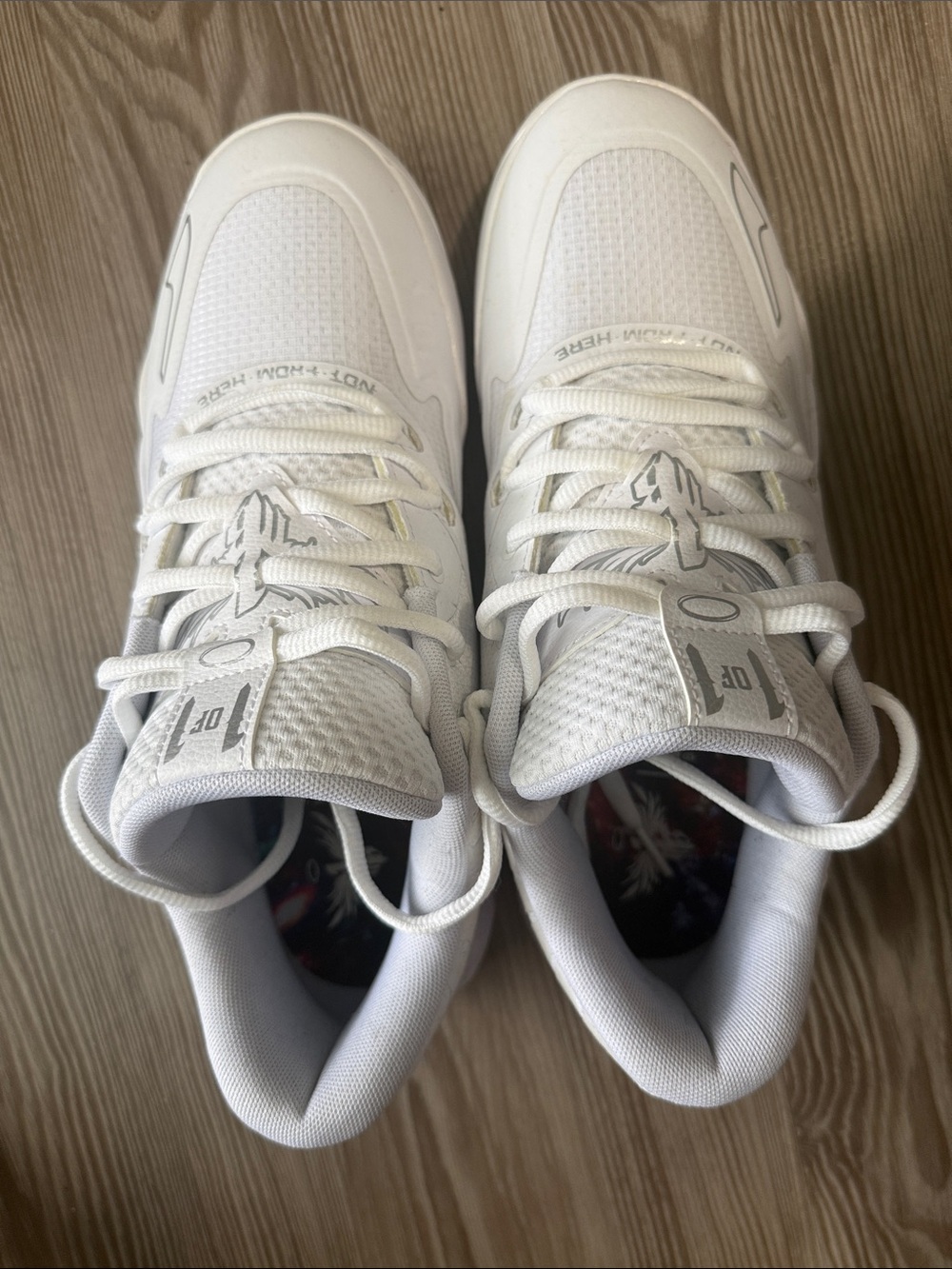 Puma LaMelo Ball White Silver Shoes
